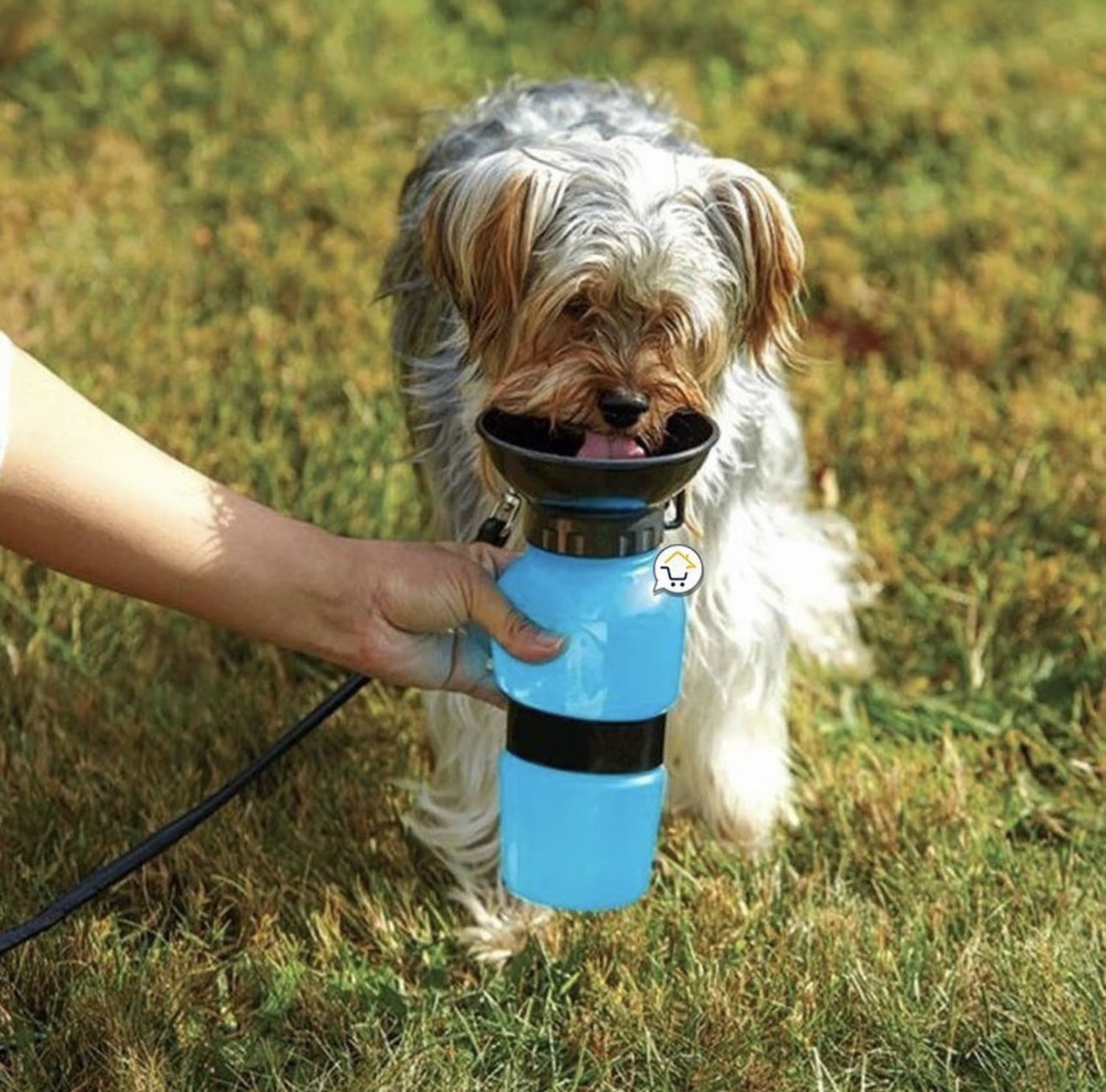 Botella de agua portátil para mascotas