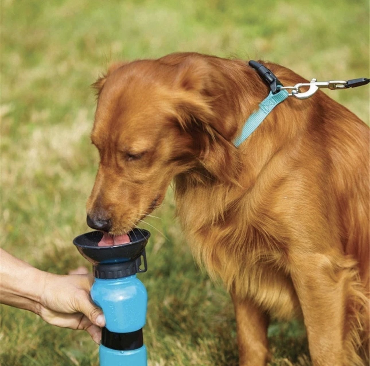 Botella de agua portátil para mascotas